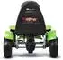 Lean Toys F618 Tretgokart mit Luftreifen, grün, 50kg (F618)