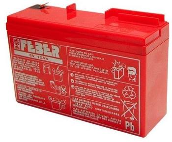 Feber Batterie 6V 10Ah