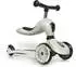 Scoot & Ride Highwaykick 1 ash