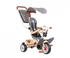 Mickey (741402): Smoby Baby Balade Plus