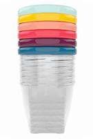 Babymoov Bowls Multicolor Sch&uuml;ssel mit Deckel 6x250 ml