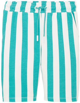 Tom Tailor Kids Gestreifte Jogger Shorts green beige vertical stripe (1036258)