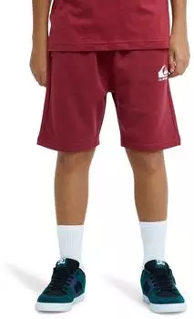 Quiksilver Easy Day Jogger Short Bermuda (EQBFB03174) burnt russet