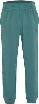Chiemsee Sweatshorts / Jogginghose (45593011) hydro