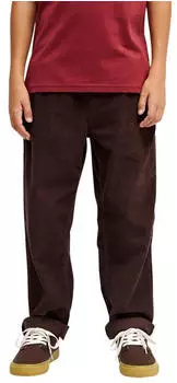 Quiksilver Taxer Cargohose (743881) java