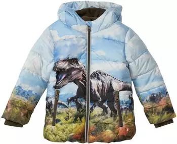 s.Oliver Wattierte Jacke mit Fleecefutter und Kapuze blau mehrfarbig 2168770.54D1.