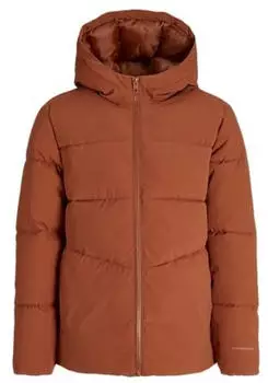 Jack & Jones JJGLOBAL Puffer Jacket MNI (12283847) picante