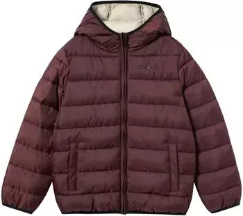 Champion Legacy Lightweight Outdoor Jacket (307222) braun