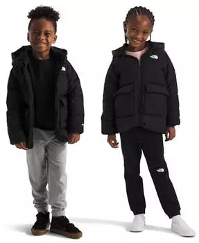 The North Face North Down Fleece Lined Parka (NF0A88VF) TNF black
