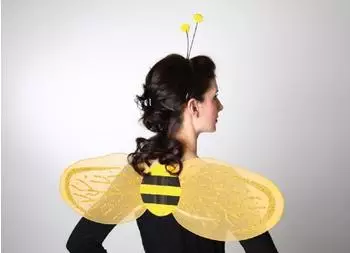 Festartikel Müller Bienen-Set Karneval Bienenflügel (900.148.00) gelb