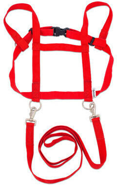 Betzold Pferdeleine für Kinder - Angebote ab 16,95