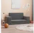 vidaXL Kinder-Schlafsofa 2-Sitzer Weicher Plüsch Eckig (357030)