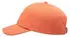 Roxy Toadstool Cap camellia