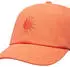 Roxy Toadstool Cap camellia