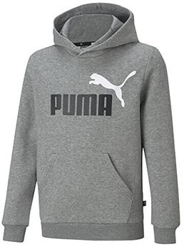 Puma Essentials+ Two-Tone Big Logo Youth Hoodie (586987) medium grey/white/puma black
