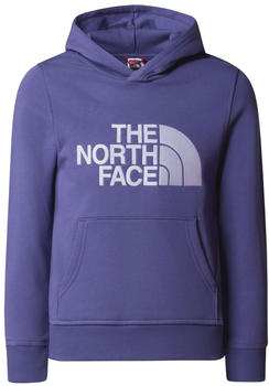 The North Face Youth Drew Peak Hoodie cave blue