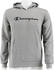 Champion Hoodie Big Print (305358)