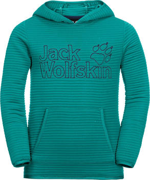 Jack Wolfskin Modesto Hoody Kids (1607721) green ocean
