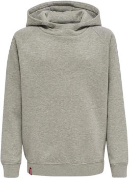 Hummel Kinder Kapuzenpullover hmlRED CLASSIC HOODIE KIDS (215096) grey melange