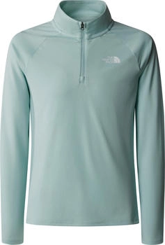 The North Face Teen Never Stop 1/4 Zip (NF0A870Q) muted pine