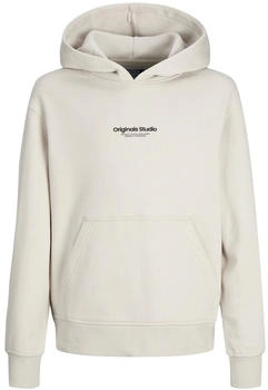Jack & Jones Vesterbro Hoodie (12242469) moonbeam / fit loose