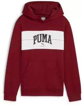 Puma Squad Kapuzenpullover (682775-13-210)