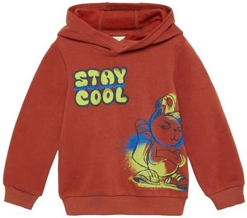 s.Oliver Wärmendes Kapuzen-Sweatshirt mit Frontprint (2153446) rot