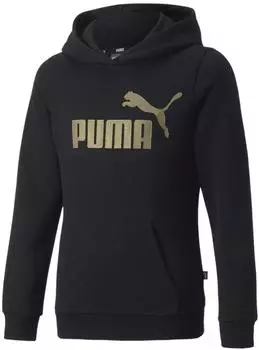Puma ESS Logo Hoodie FL (670310) puma black