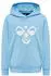 Hummel hmlCUATRO Hoodie (213850)
