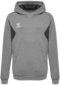 Hummel Kinder Kapuzenpullover hmlAuthentic Poly Hoodie (219977) grey melange