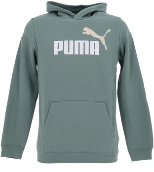 Puma Kids ESS 2 Color No. 1 Logo Hoodie FL (685822) green moon