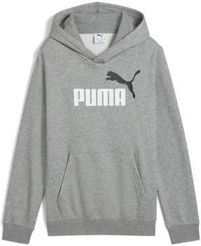 Puma Kids ESS 2 Color No. 1 Logo Hoodie FL (685822) medium gray heather