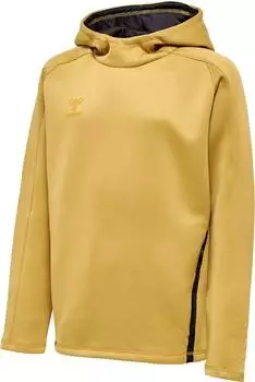 Hummel Hmlcima Xk Hoodie Kids (211577) antique gold