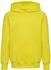 Hummel Kinder Kapuzenpullover hmlGO 2.0 Cotton Hoodie (224834)