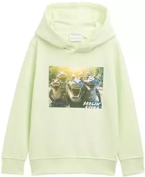 Tom Tailor Hoodie Sweatshirt mit Print lime cream green / (1045386_29078)