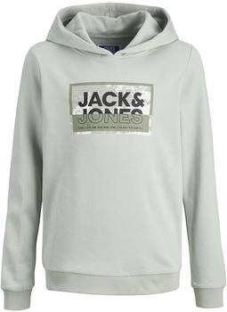 Jack & Jones Jcologan Ss24 Print Sweat Hood Sn Jnr grau (12254120-Aqua Gray)