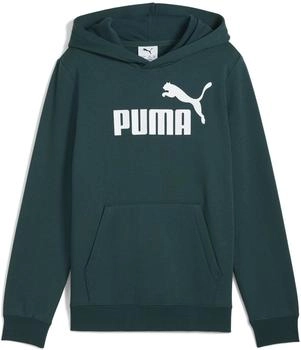 Puma ESS No. 1 Logo Hoodie FL Boys (684908) green terrain