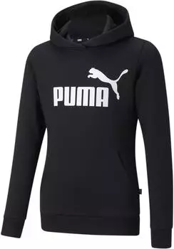 Puma Essential Logo Hoodie (587031) black