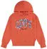Levi's Kids LVB Batwing Screenprint Hoodie (8E8778) hot coral