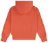 Levi's Kids LVB Batwing Screenprint Hoodie (8E8778) hot coral