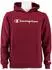 Champion Hoodie Big Print (305358)
