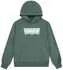 Levi's Hoodie (9E8778)