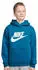 Nike Sportswear Club+ HBR Kids (FD2988-301) green abyss/white