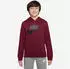 Nike Sportswear Club+ HBR Kids (CJ7861) dark beetroot/smoke grey/black