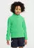 Jack Wolfskin Taunus Halfzip Kids Fleecepullover (A65889_E0278) lizard