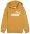 Puma ESS No. 1 Logo Hoodie FL Boys (684908)