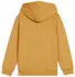Puma ESS No. 1 Logo Hoodie FL Boys (684931) archive gold