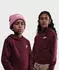 Nike Sportswear Club Fleece (FD3000-619) dark team red/white