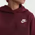 Nike Sportswear Club Fleece (FD3000-619) dark team red/white