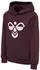 Hummel hmlCUATRO Hoodie (213850) rose brown